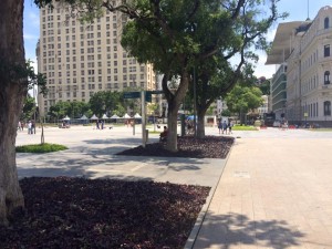 12376059_985788351467386_4175225795729010492_n